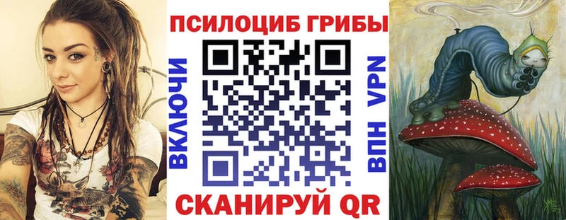 Галлюциногенные грибы Psilocybine cubensis  нарко площадка формула  Россошь  где купить наркоту  блэк спрут ONION 